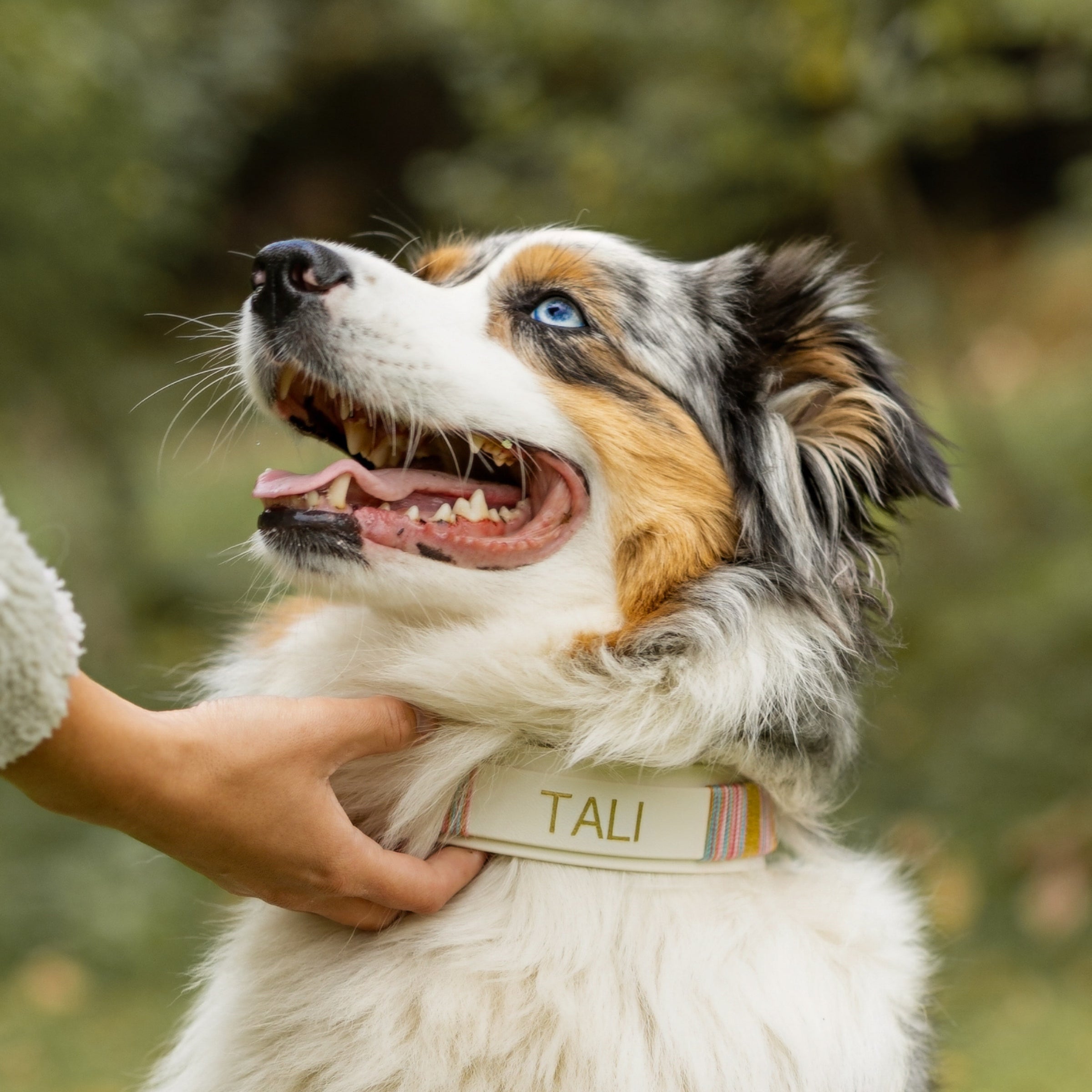 OBLIKUJ SVOJO LUXE OVRATNICO