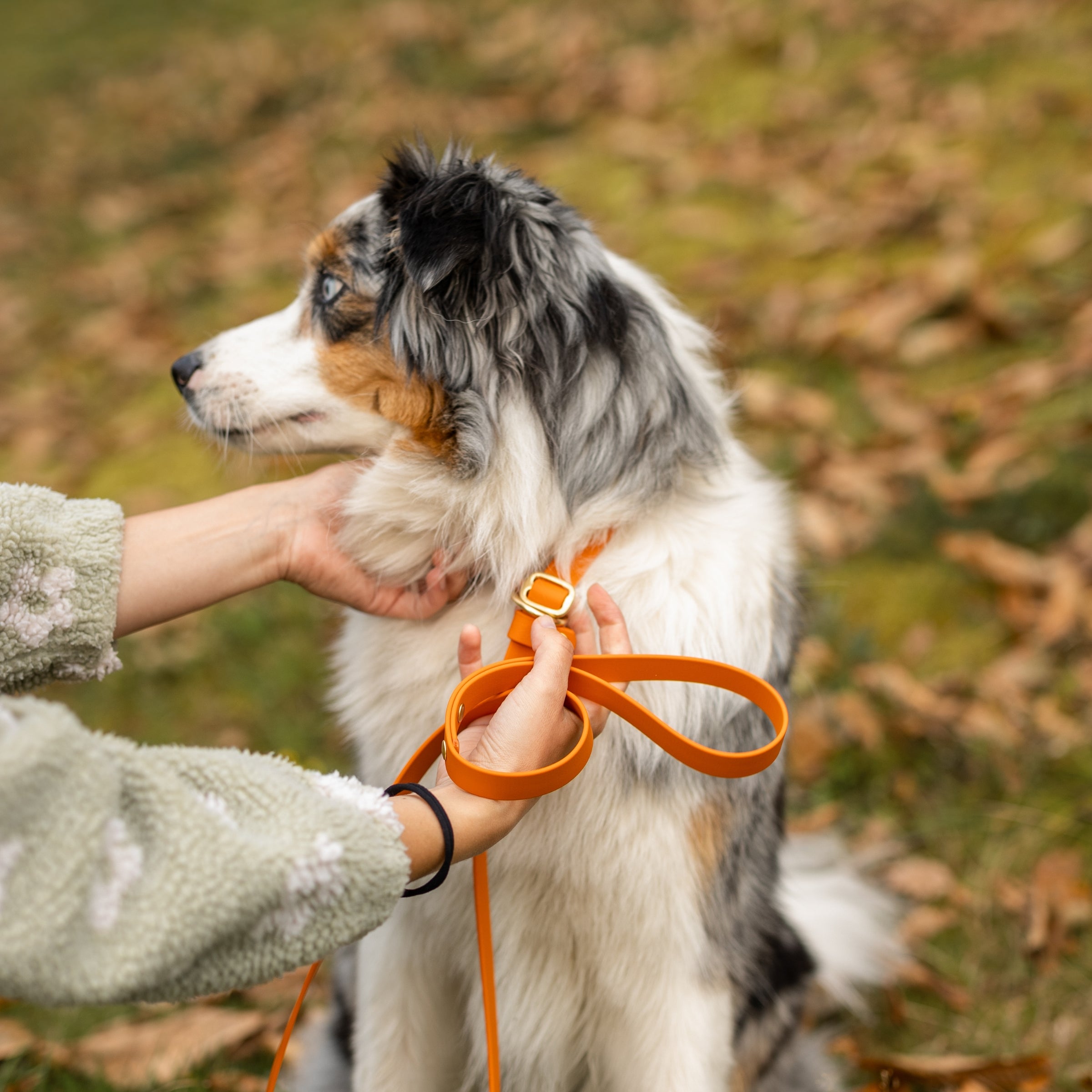 Slip povodec oranžen