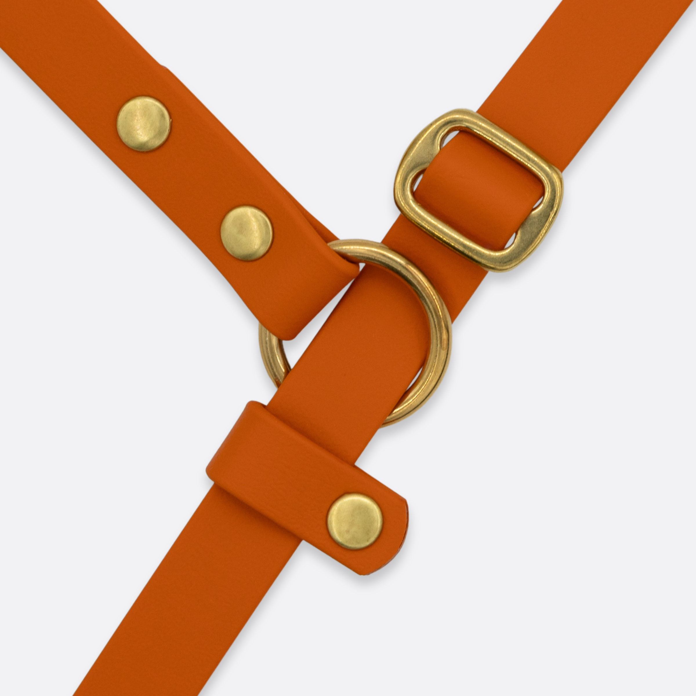 Slip povodec oranžen