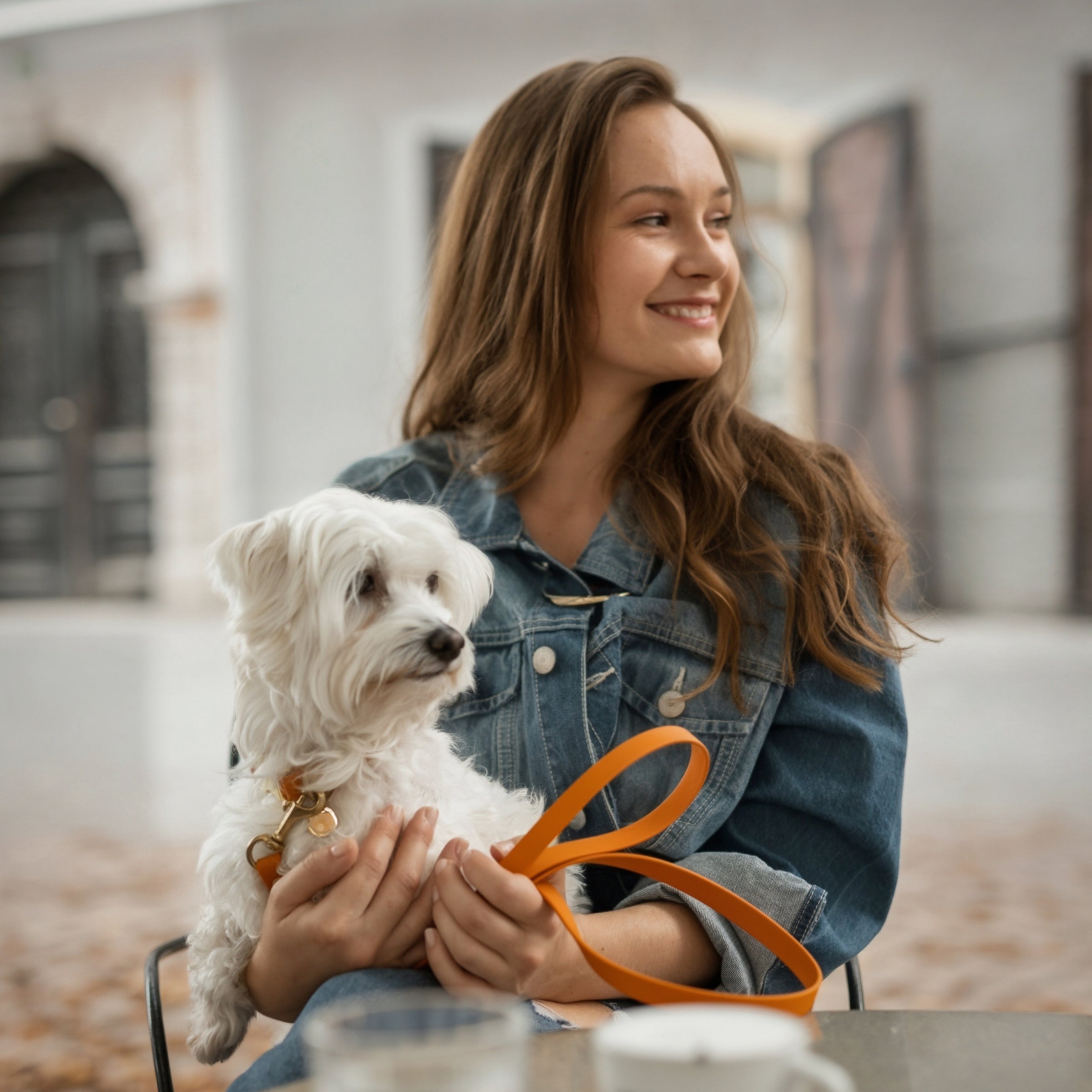 Minimal povodec oranžen