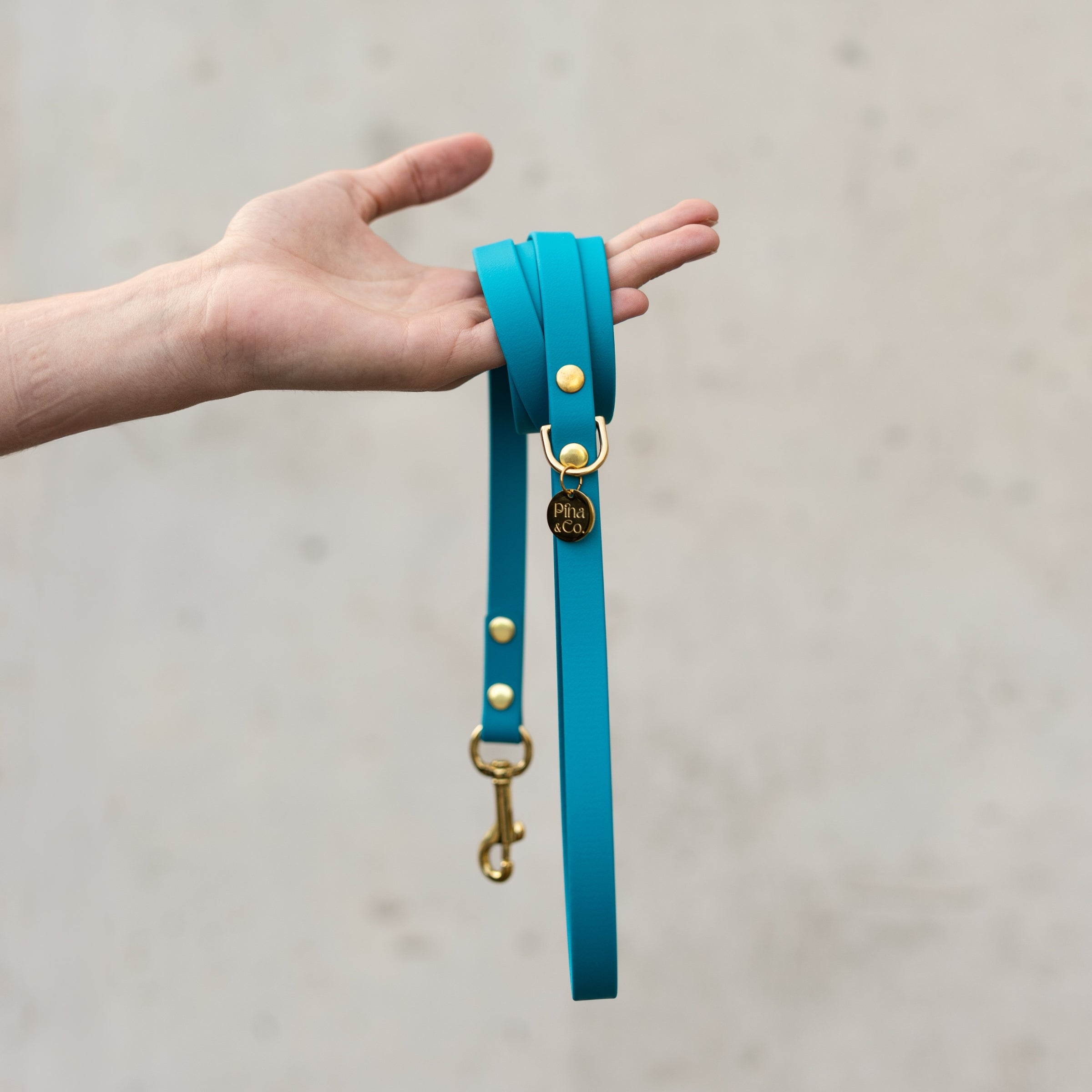 Minimal povodec moder