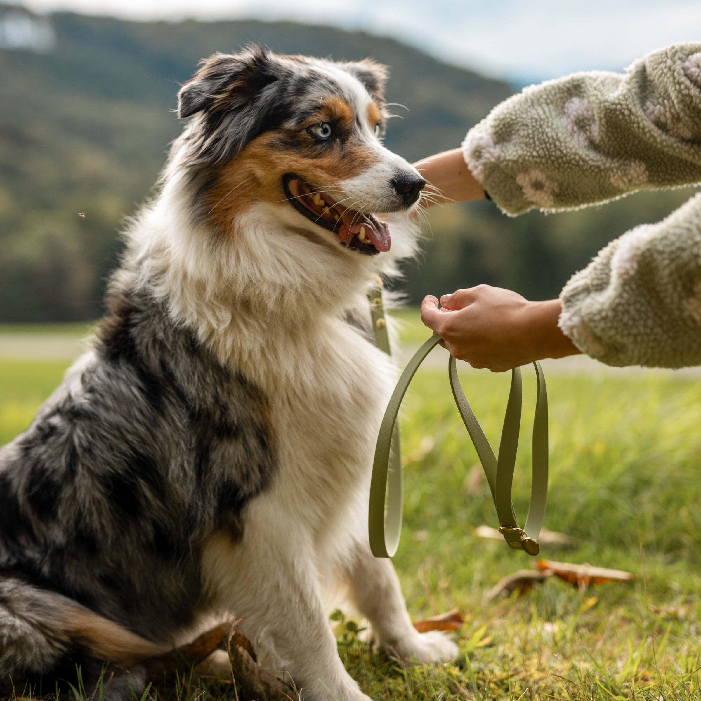 Minimal ovratnica zelena