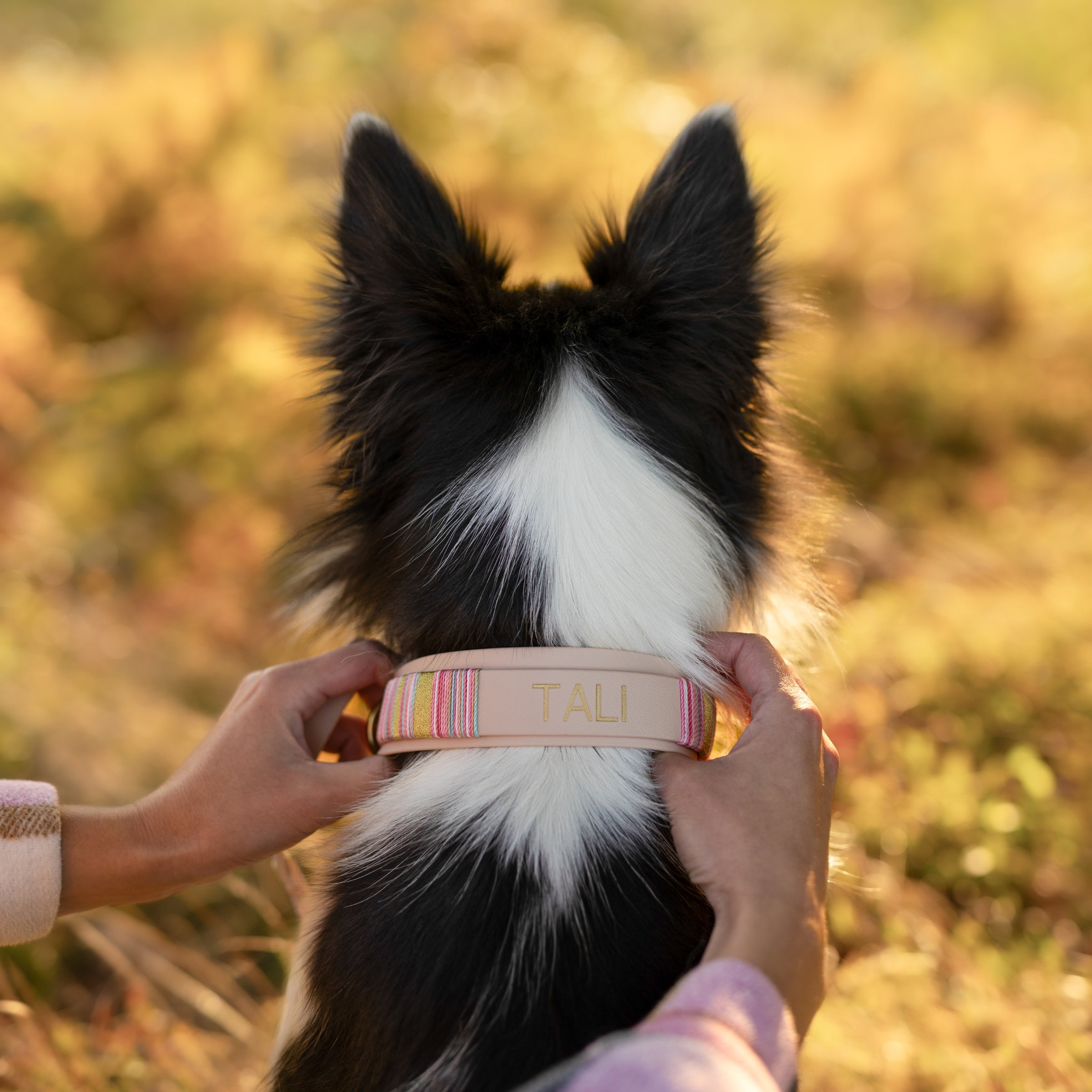 OBLIKUJ SVOJO LUXE OVRATNICO