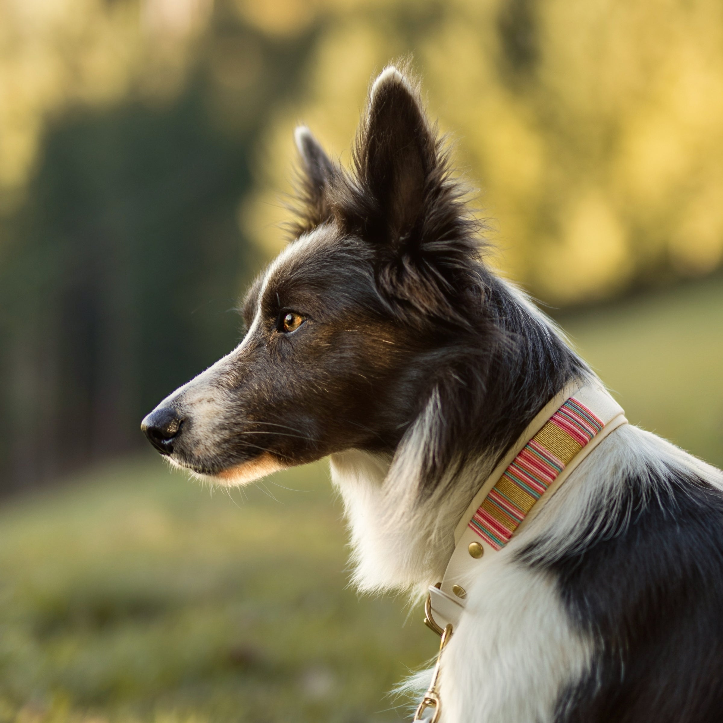 Luxe ovratnica Cotton candy