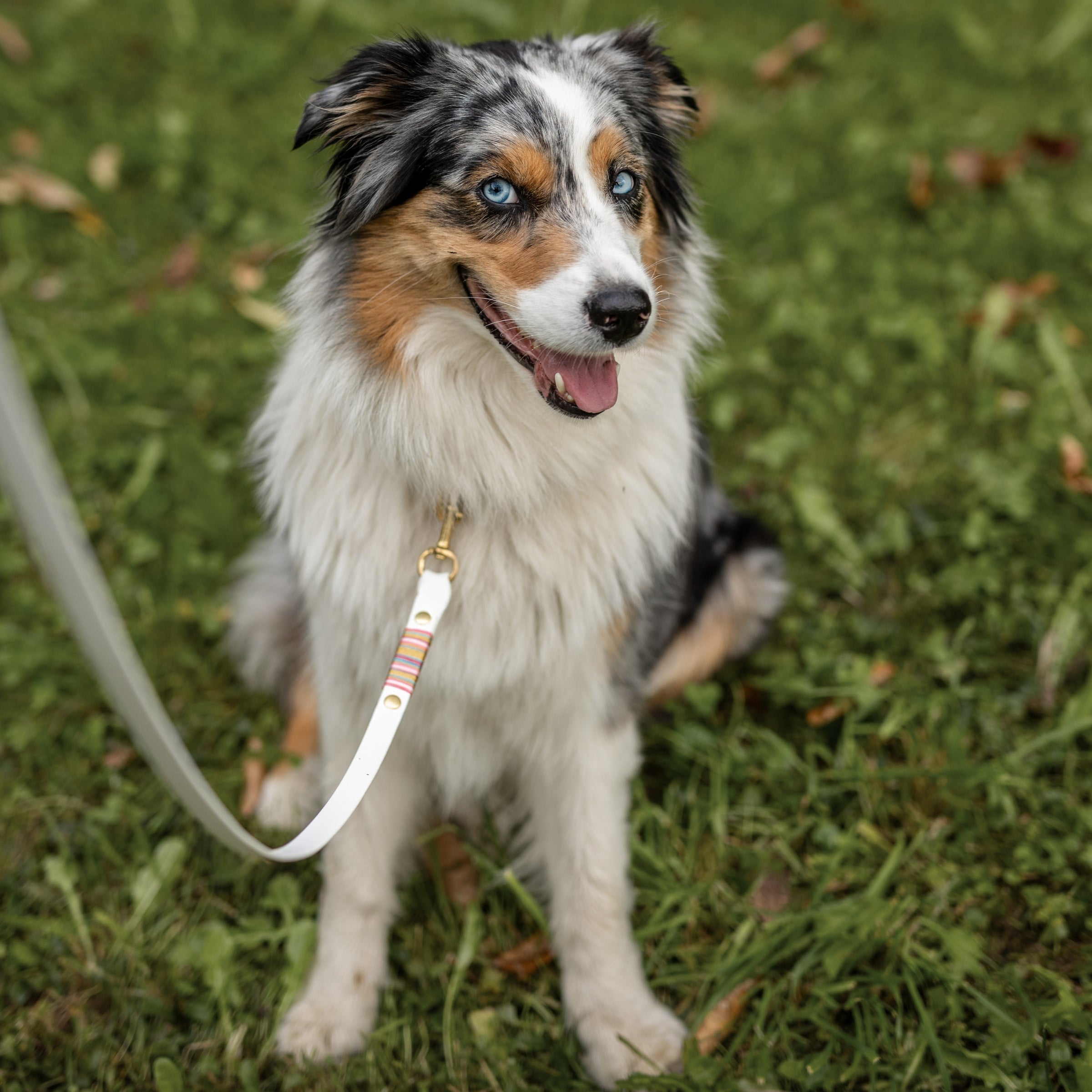 Luxe povodec Cotton Candy